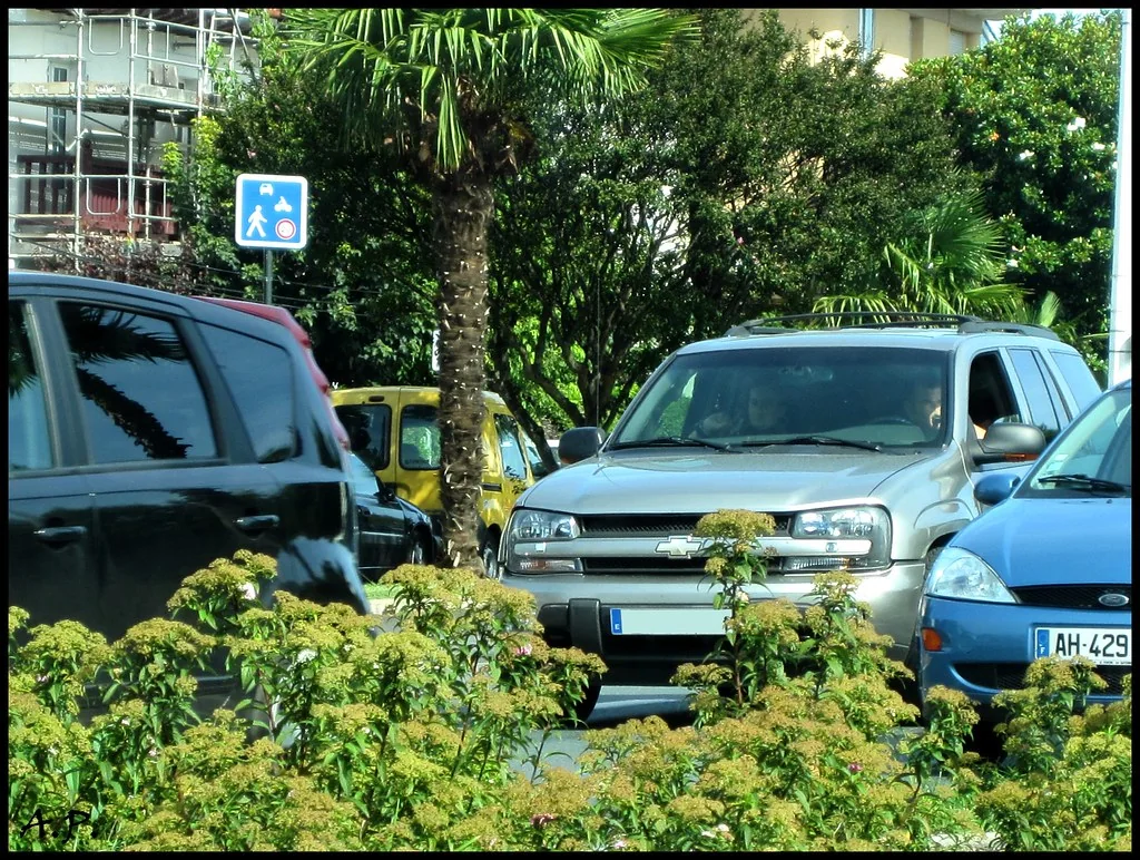 Imagem real do veículo Chevrolet Trailblazer Luxury 2020