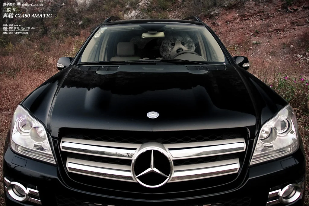 Imagem real do veículo Mercedes Benz Gls Luxury 2021
